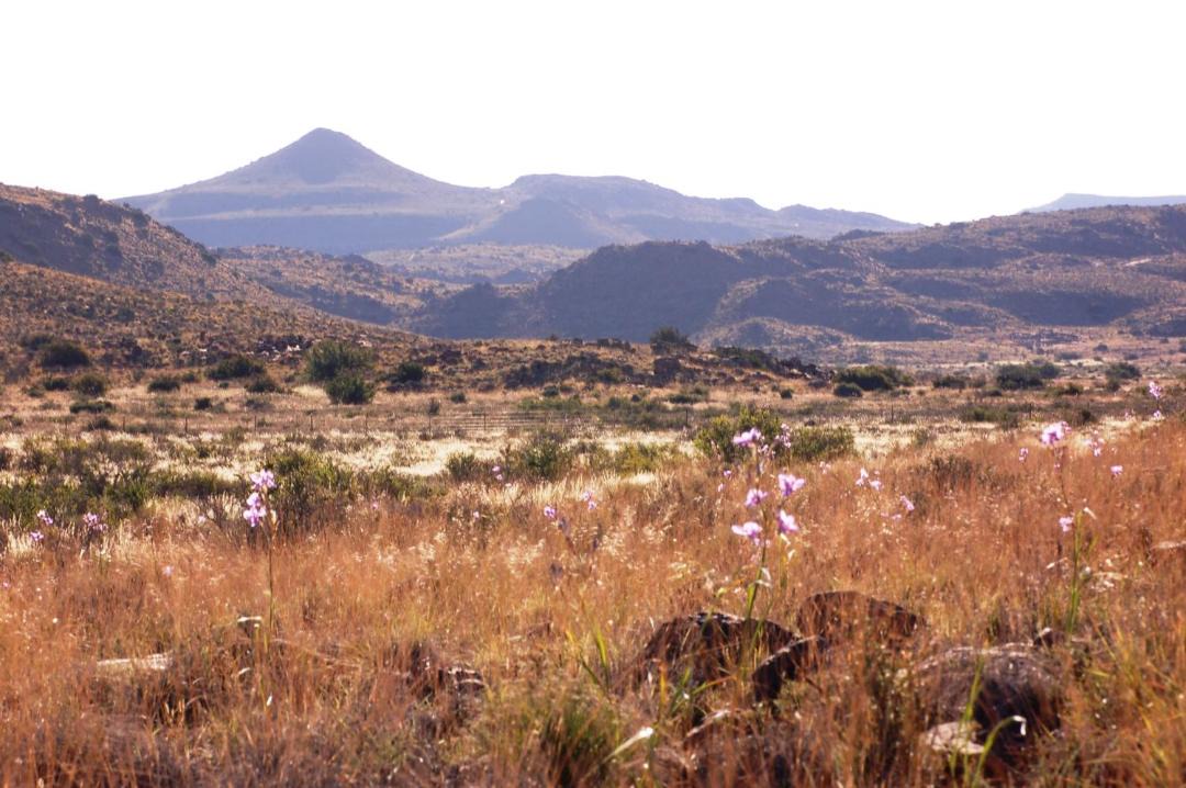 Photo of Others in Beaufort West