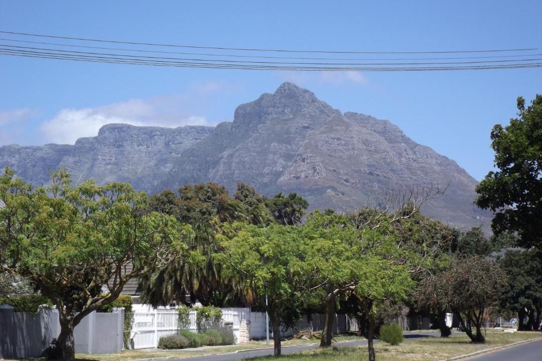 Photo of Others in Pinelands