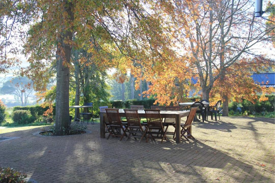 Photo of Others in Stellenbosch