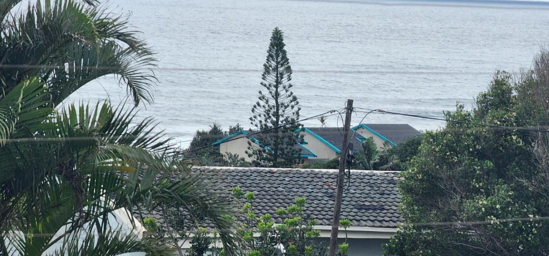 Photo of Others in Shelly Beach