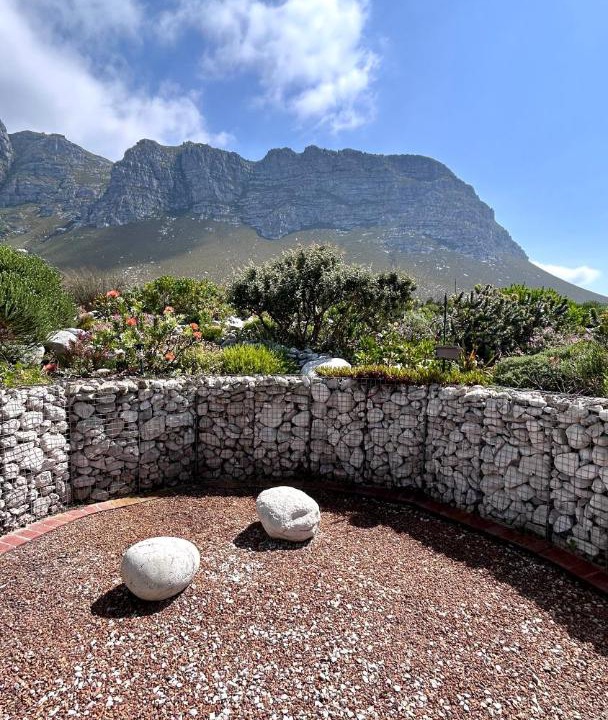 Photo of Others in Betty's Bay