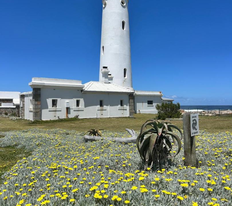 Photo of Others in Saint Francis Bay