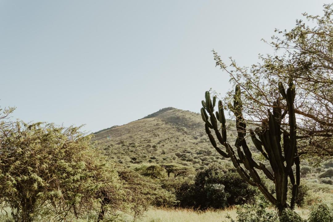 Photo of Others in Hluhluwe