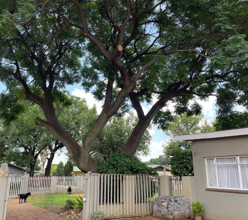Photo of Others in Vanderbijlpark