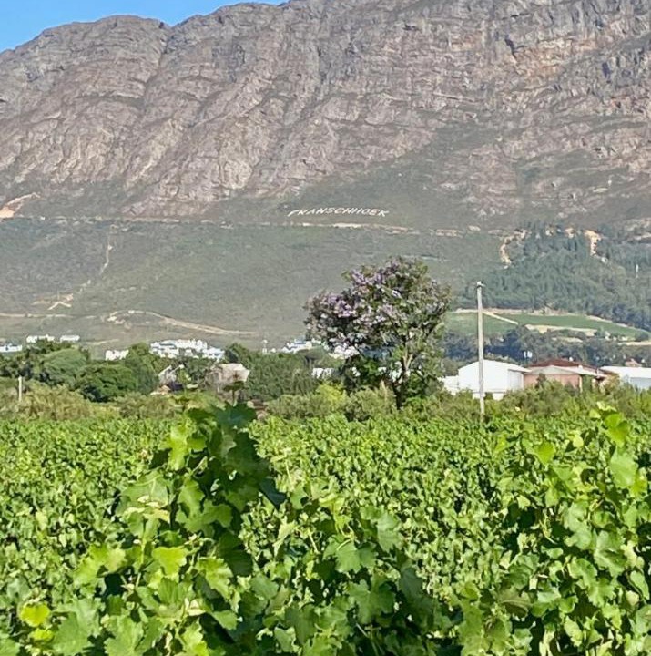 Photo of Others in Franschhoek
