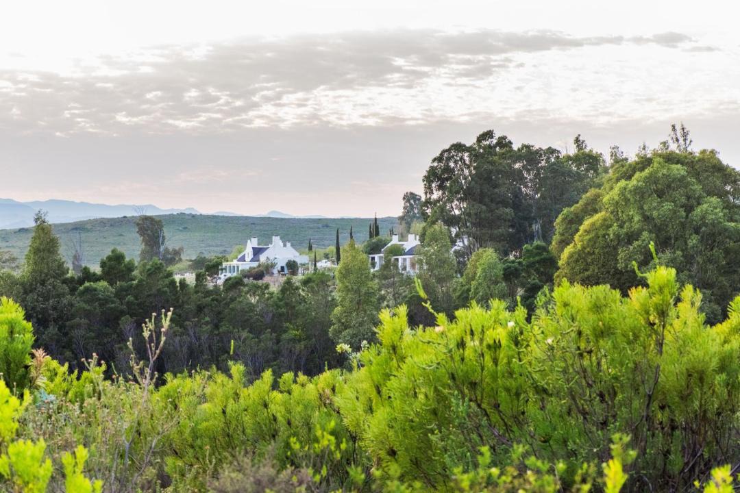 Photo of Others in Montagu