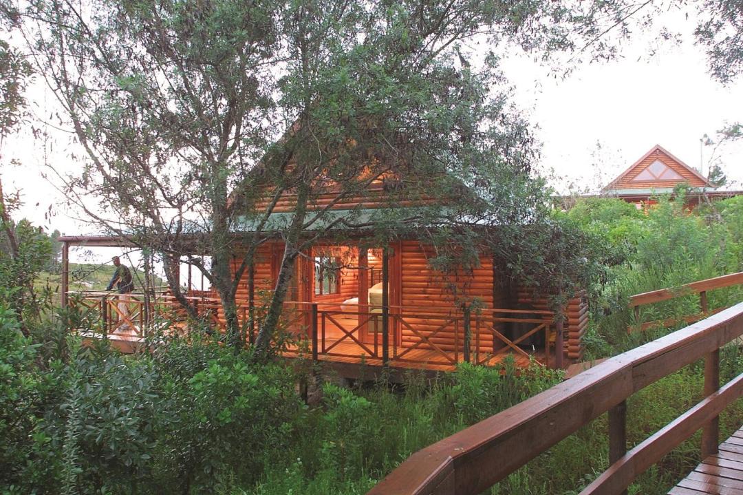 Photo of Others in Storms River