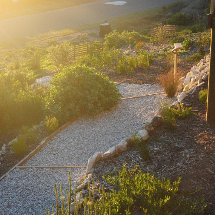 Photo of Others in Gansbaai