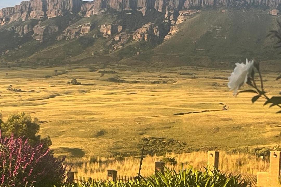 Photo of Others in Harrismith