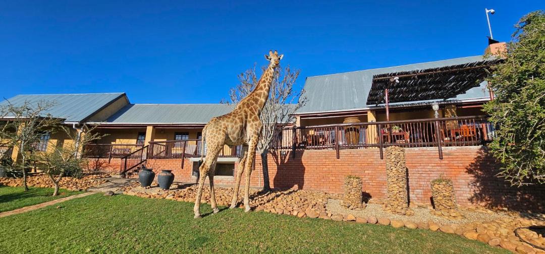 Photo of Others in Addo