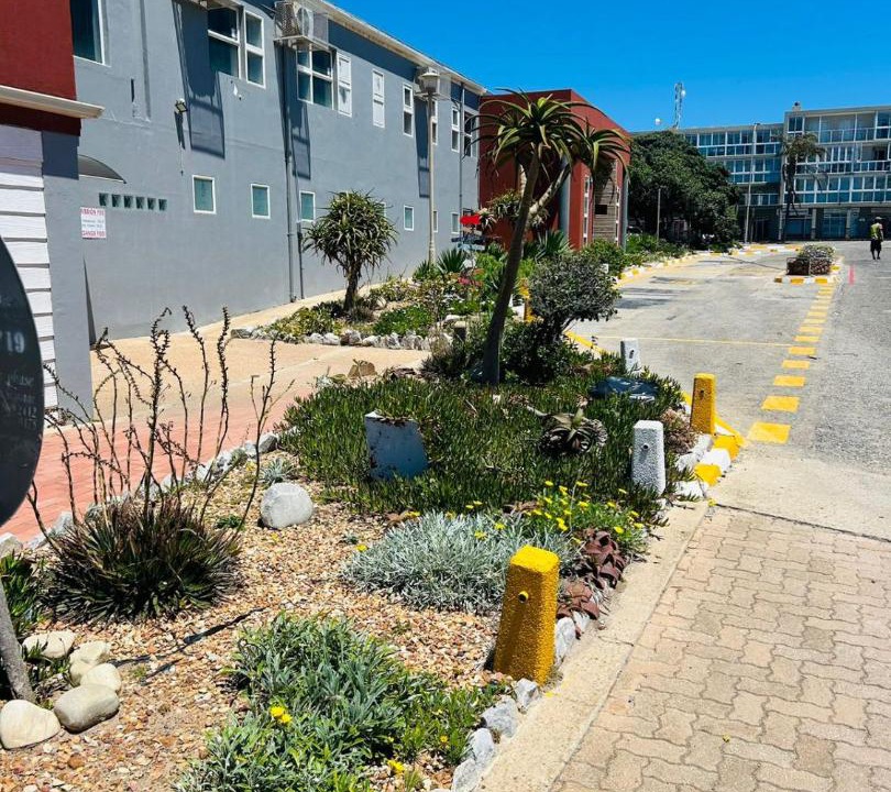 Photo of Others in Jeffreys Bay