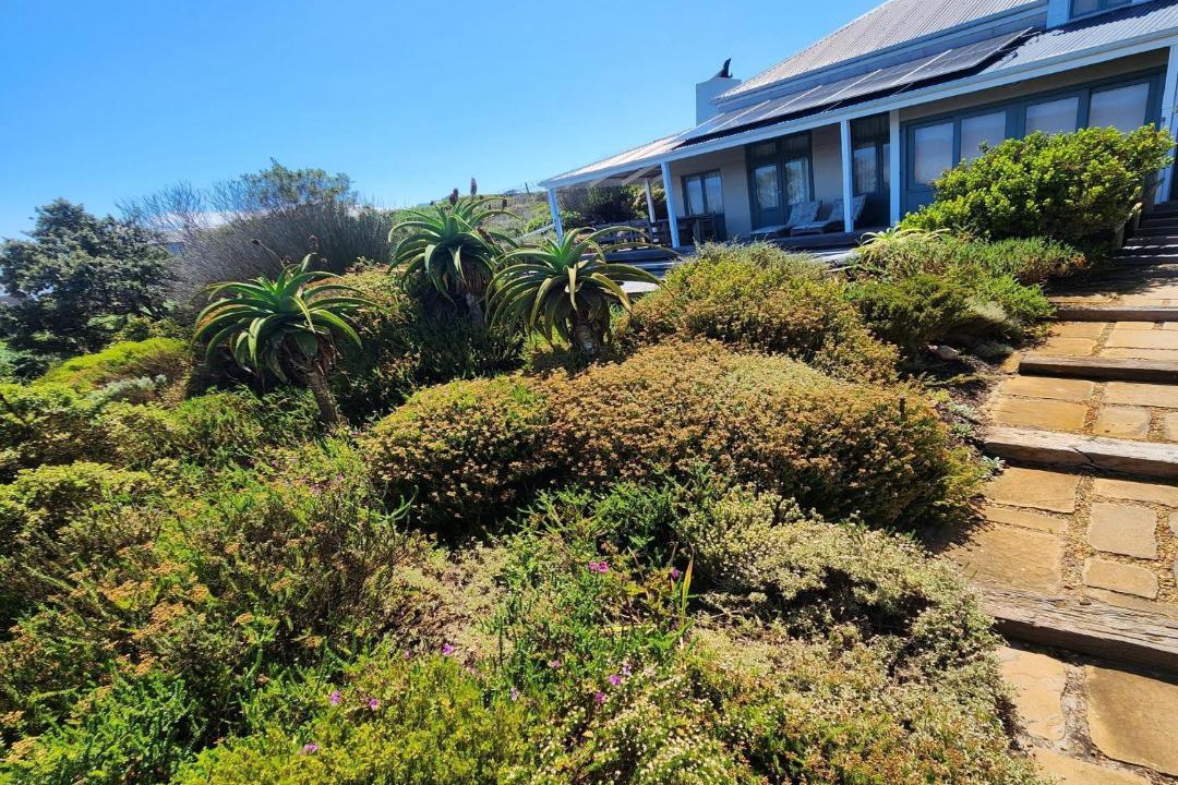 Photo of Others in Kommetjie
