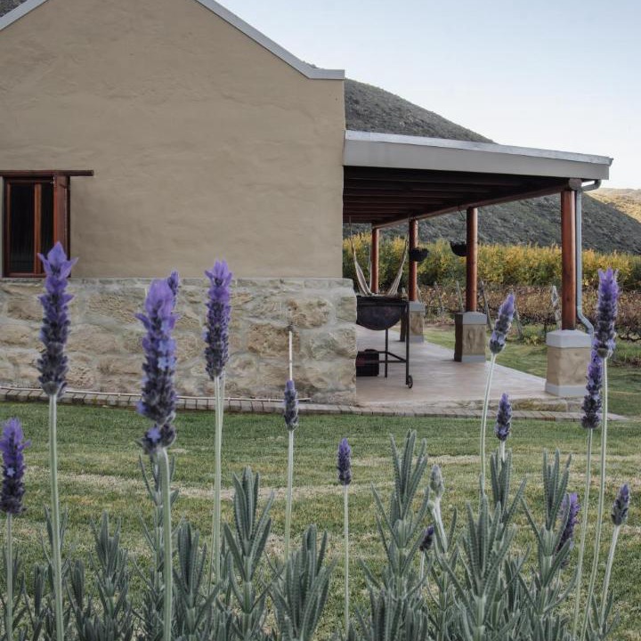 Photo of Others in Schoemanshoek