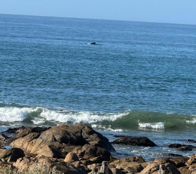 Photo of Others in Shelley Point