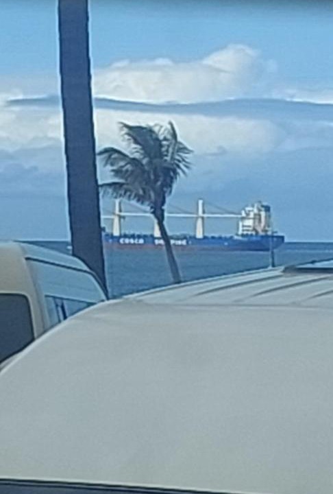 Photo of Others in South Beach