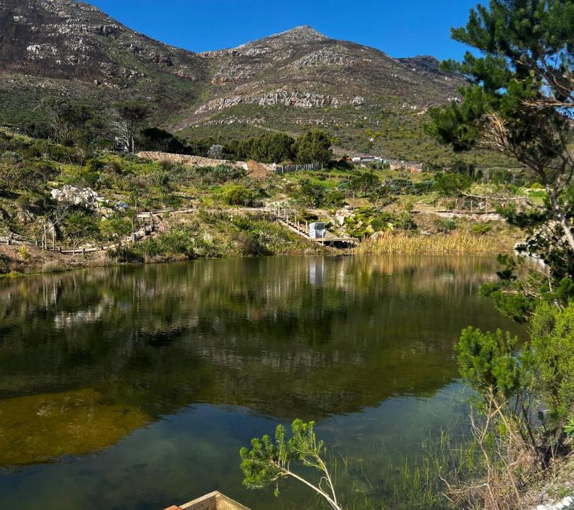 Photo of Others in Noordhoek