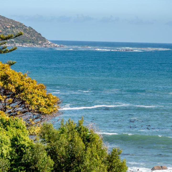 Photo of Others in Camps Bay