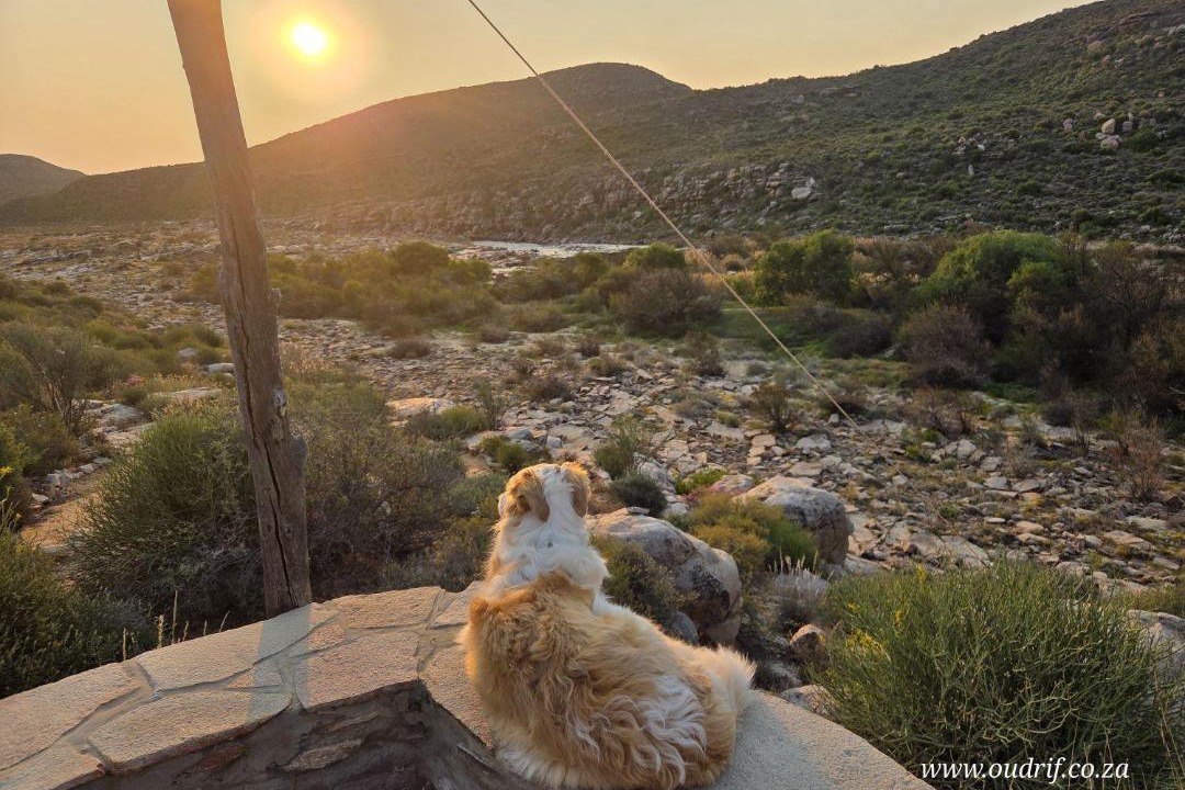 Photo of Others in Cederberg