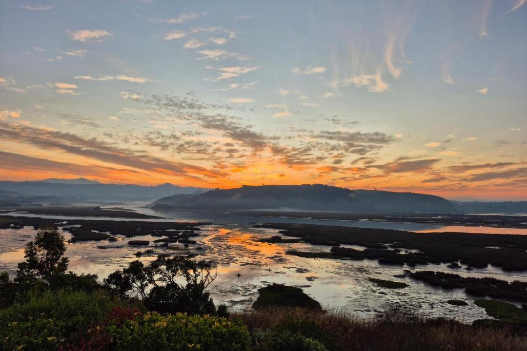 Photo of Others in Knysna