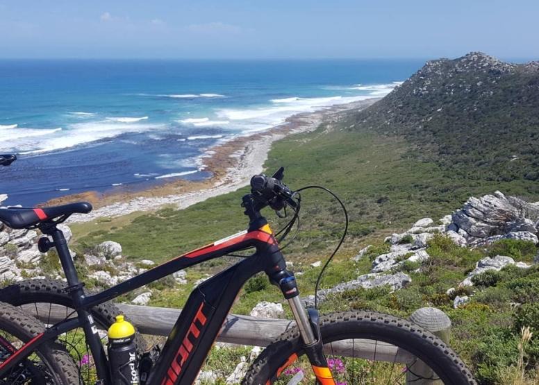 Photo of Others in Betty's Bay