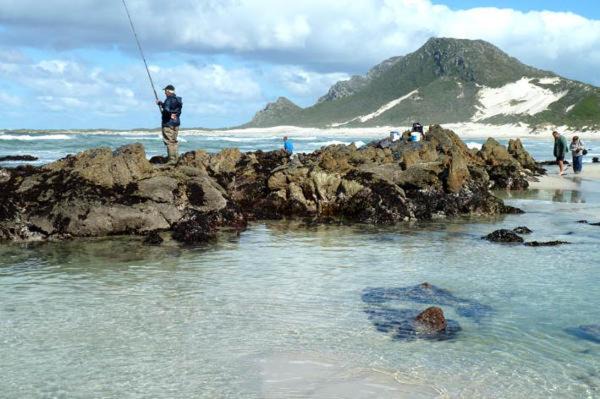Photo of Others in Betty's Bay