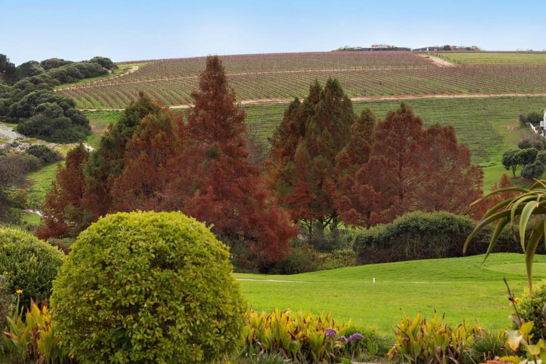 Photo of Others in Stellenbosch