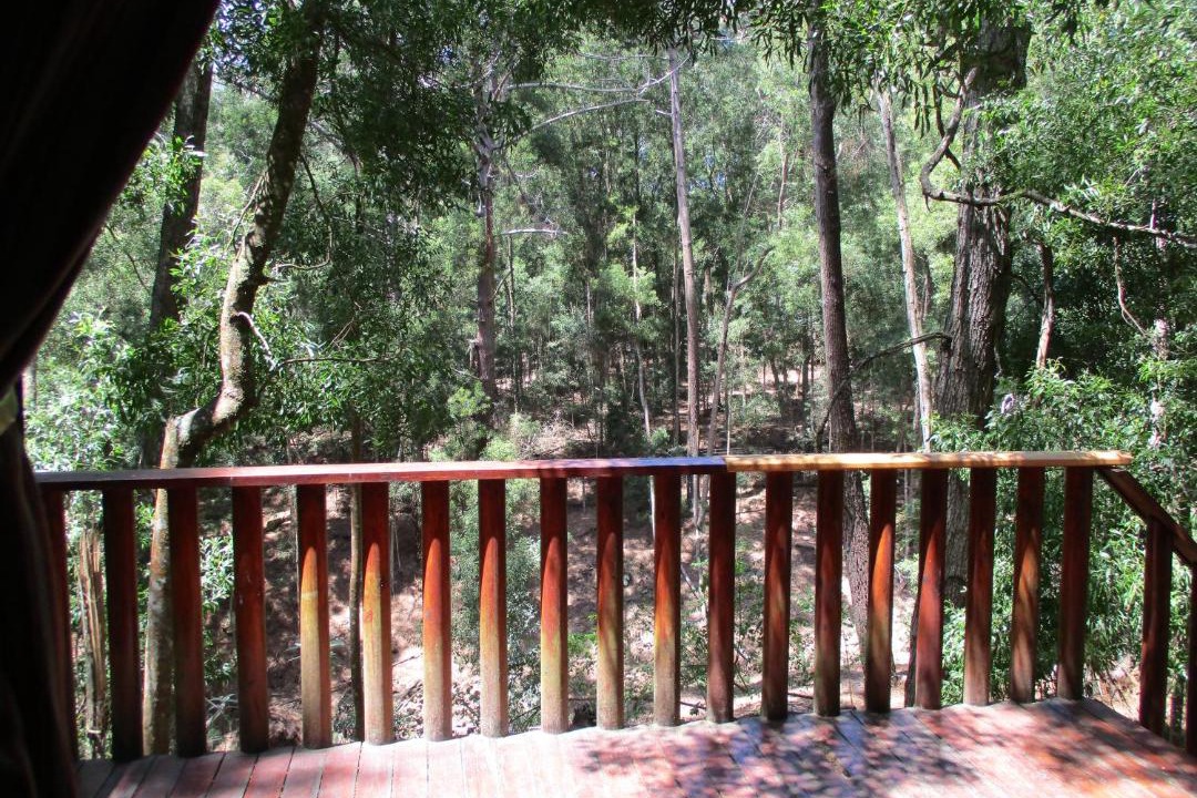 Photo of Others in Buffalo Hills Game Reserve