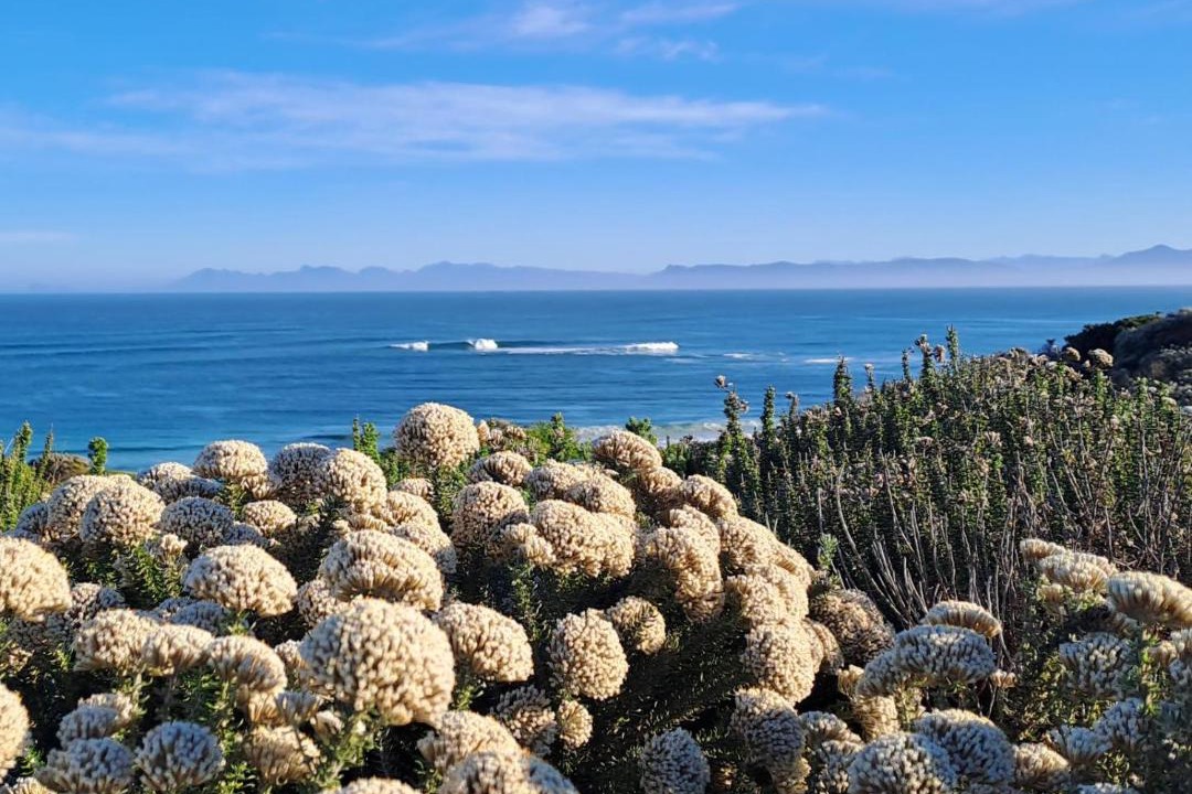 Photo of Others in Gansbaai