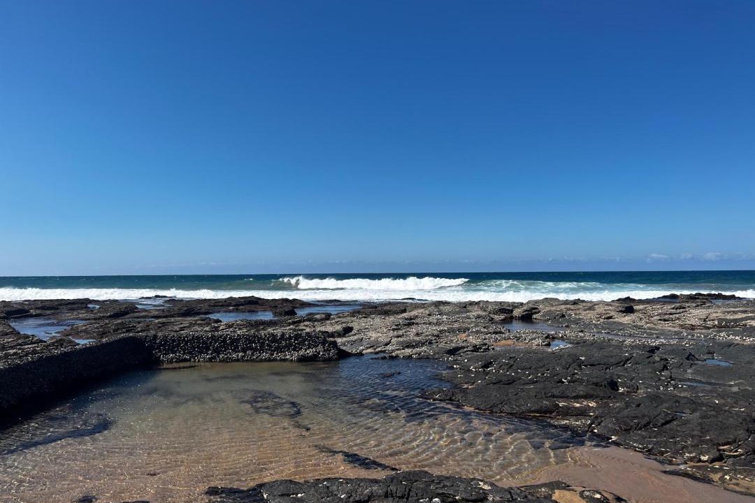 Photo of Others in Shelly Beach