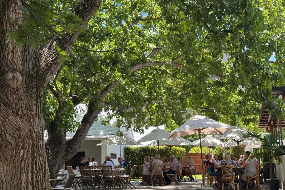Photo of Others in Cape Winelands
