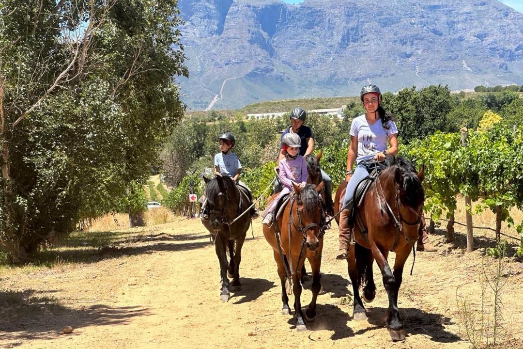 Photo of Others in Cape Winelands