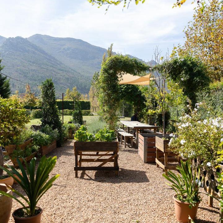 Photo of Others in Cape Winelands