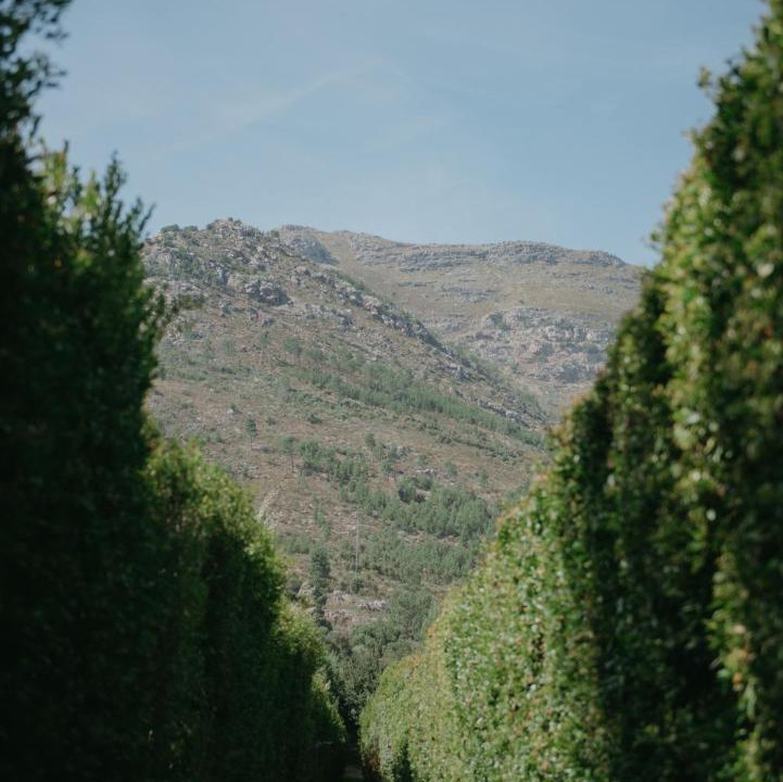 Photo of Others in Cape Winelands