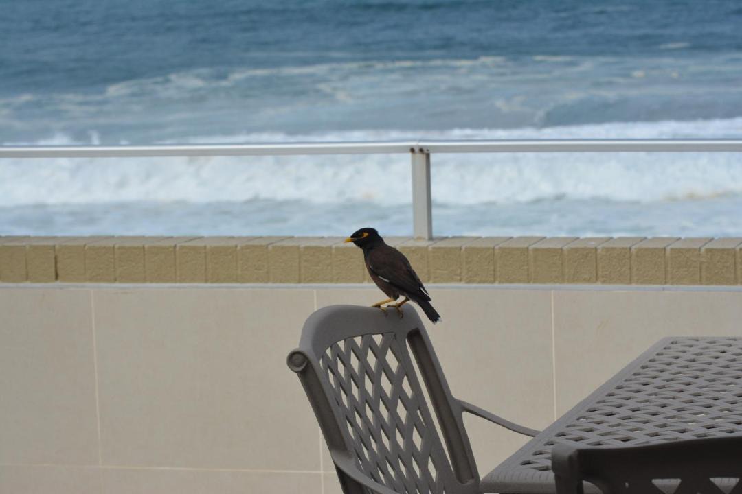 Photo of Others in Ballito