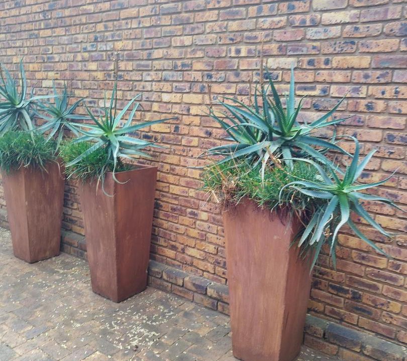 Photo of Others in Zwartkop