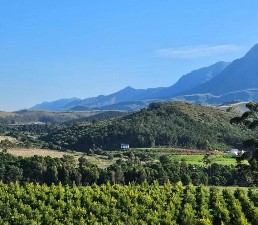 Photo of Others in Swellendam