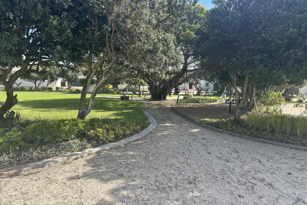 Photo of Others in Cape Town