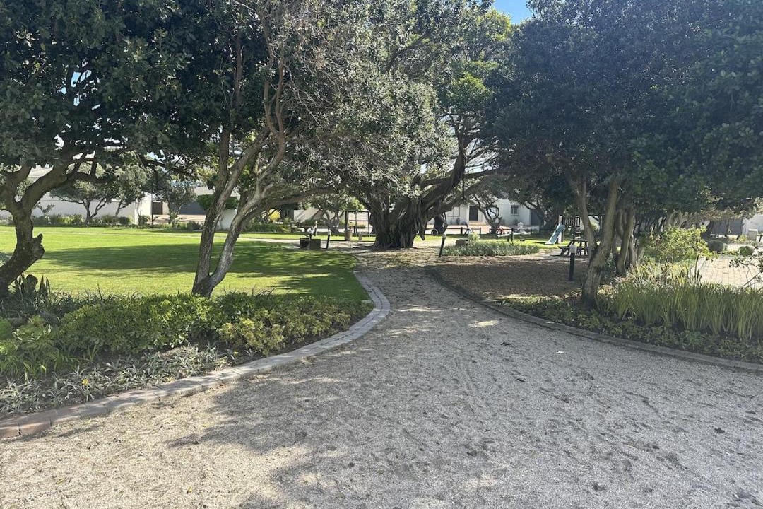 Photo of Others in Cape Town