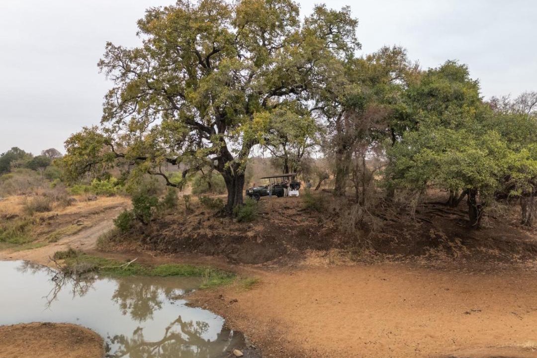 Photo of Others in Thorny Bush Game Reserve