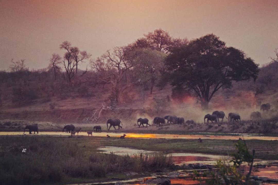 Photo of Others in Marloth Park