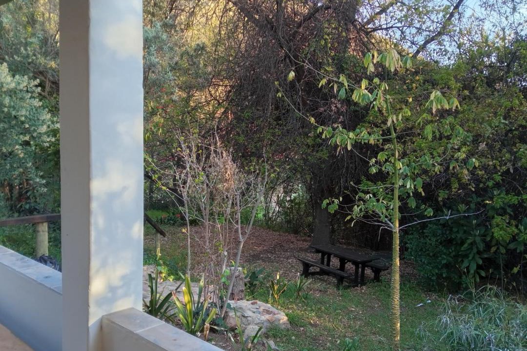 Photo of Others in Schoemanshoek