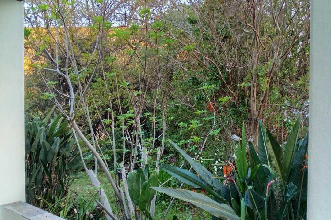 Photo of Others in Schoemanshoek