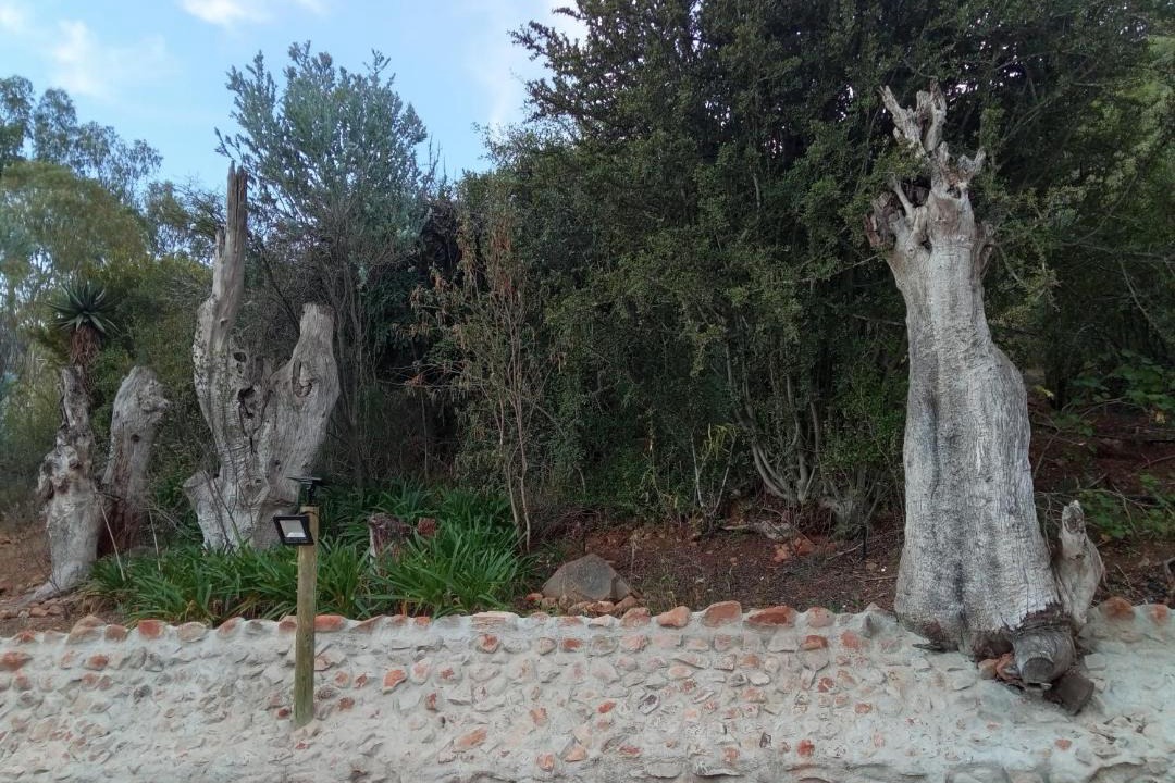 Photo of Others in Schoemanshoek