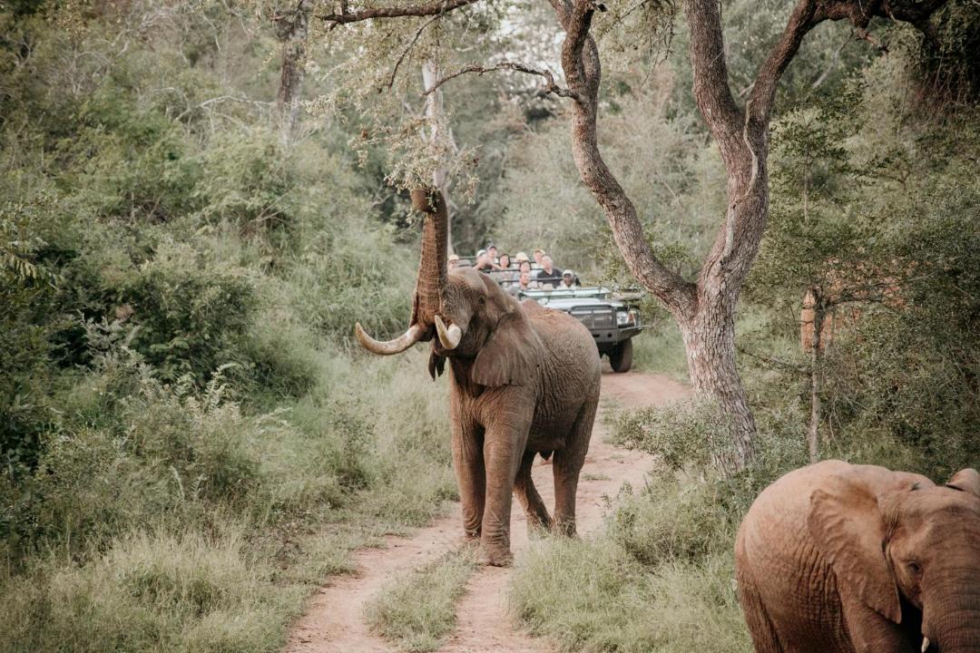 Photo of Others in Hoedspruit