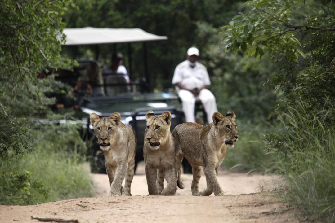 Photo of Others in Hoedspruit