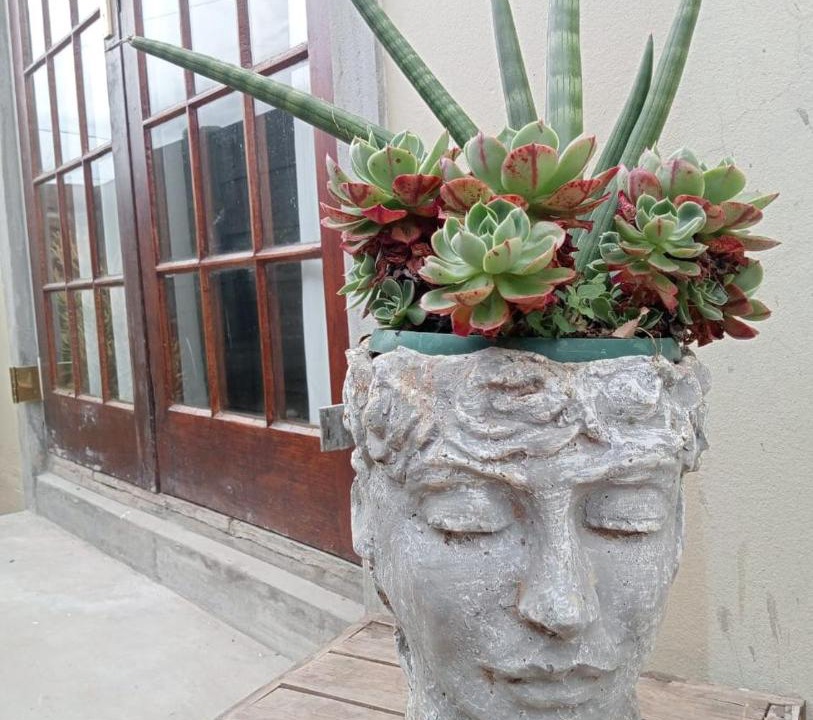 Photo of Others in Oudtshoorn