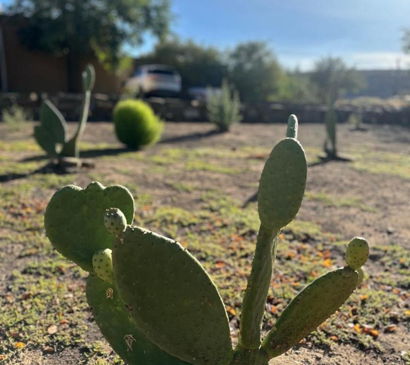 Photo of Others in Sutherland