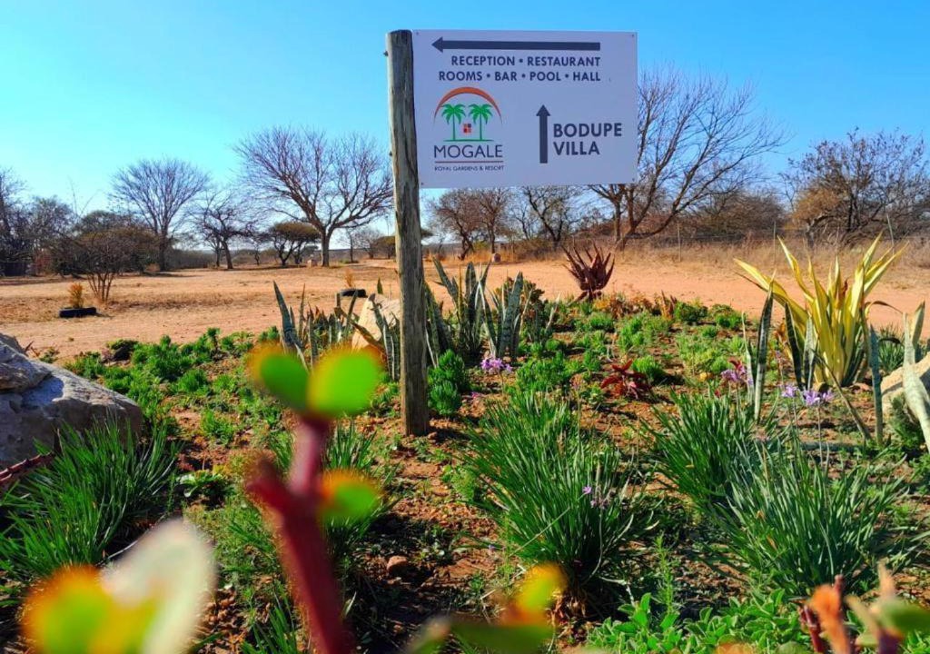 Photo of Others in Polokwane