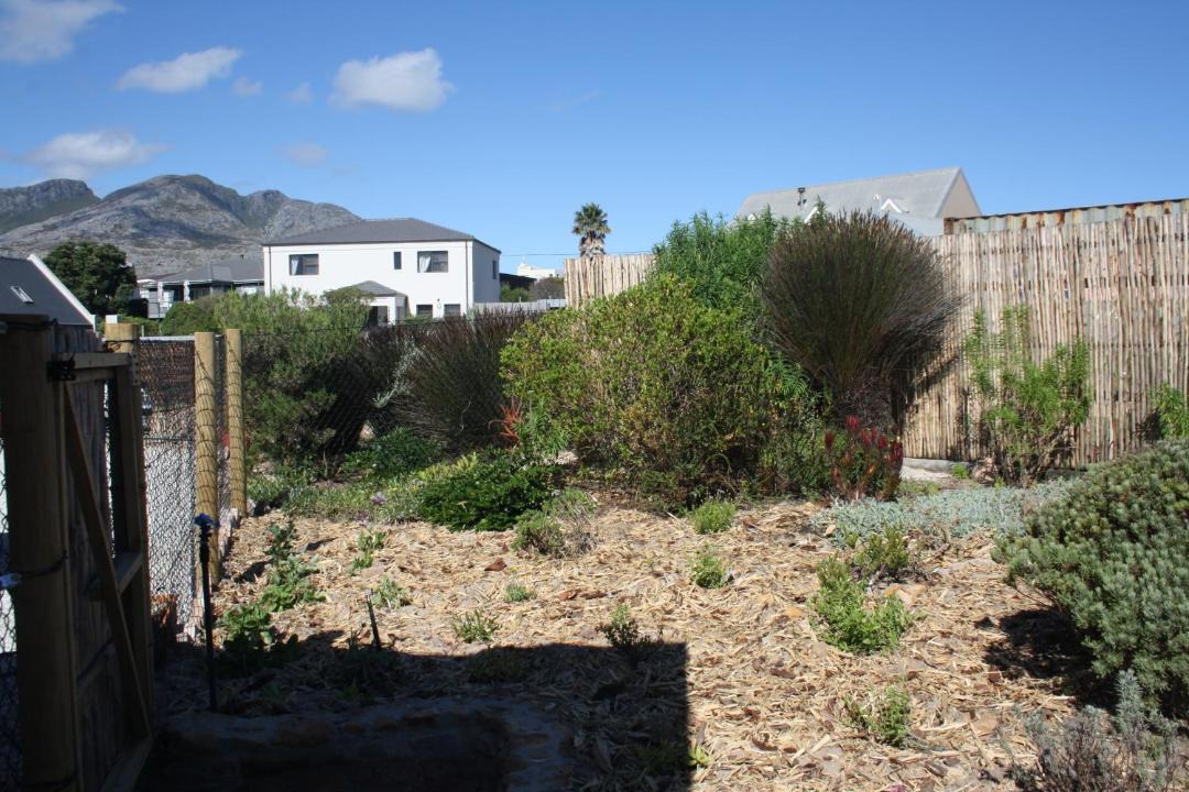 Photo of Others in Pringle Bay