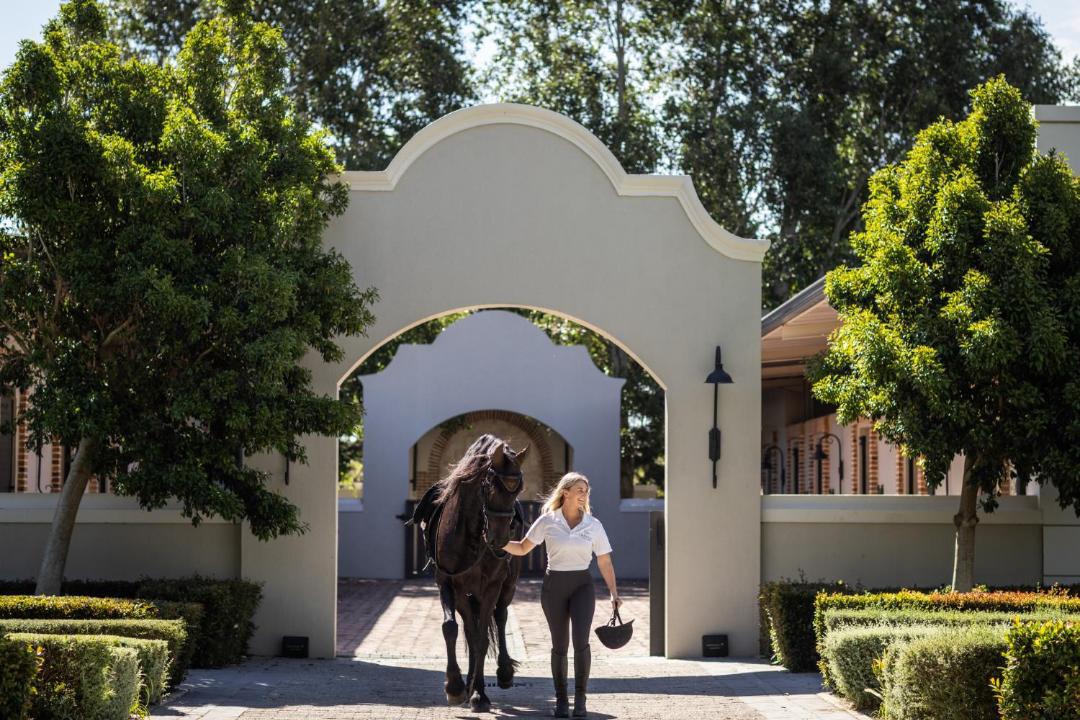 Photo of Others in Cape Winelands